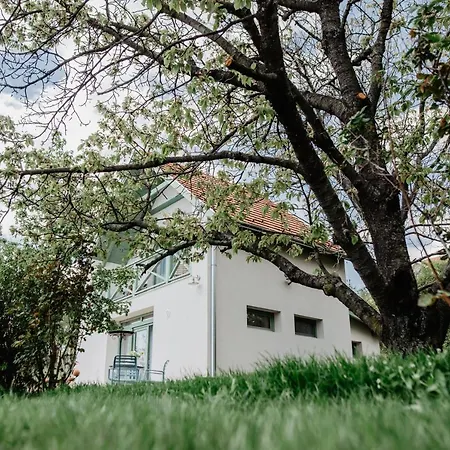 Cukormadar Vendeghaz Vila