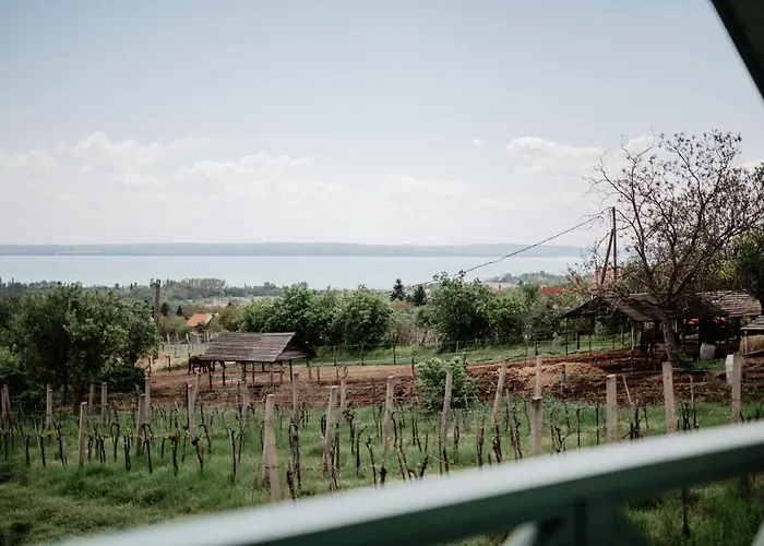 Cukormadar Vendeghaz * Lovas