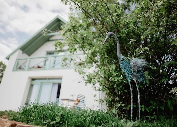 Cukormadar Vendeghaz Lovas