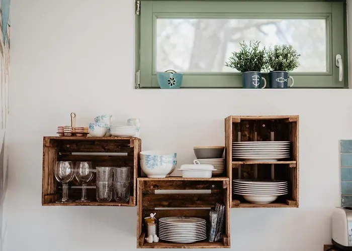 Cukormadar Vendeghaz